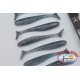 Storm So-Run Makan Minnow 3" Padole tail cm 7,5 - 7 pz.ST.01