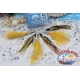 Kit Traina 3 Polipetti/ami Size 4/0 Colibri. CB401