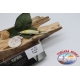 Artificial Minno V VIPER, Vision 8cm-5,8 gr Sinking Col. cream FC.V204