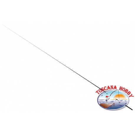 Canne à pêche à la Bolognaise (à partir de 6-7m