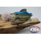 Artificial Lures Lipless with metal balls, 6.5 cm-15gr. Col. celeste. FC.V101