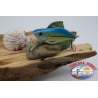 Artificiale Lures Lipless con sfere metalliche, 6,5cm-15gr. col. celeste. FC.V101