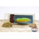 Cebo artificial Rapala Cuchara Finlandesa Minno SP sin aletas RMS-6, 6 cm 10 gr RMS-6 PIES