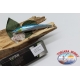 Víbora dulce de Minno Dolce artificial 12,5 cm-18gr Col hundida de anchoa FC.V300
