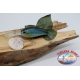 Manivelle artificielle, 8cm-28gr. flottant, col. anchois, filant. FC.V165