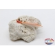 Trolling lures: hand-crafted skipjack head with 9 cm feather-White / Orange