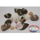 Bass Pro Shops® Flashy Times® Spoon - 1-6 oz.