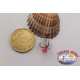 10 Ancorette montate con piume e filamenti, VMC con occhiello size 12 FC.AC24