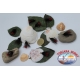 Bass Pro Shops® Flashy Times® Spoon - 1-6 oz.