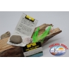 Pack de 5 pulpos Octopus C117-MK1O 