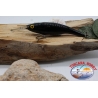SEÑUELOS UGL D DUCKLING, 12cm-18gr, hundimiento-vista previa
