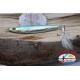 Metal bait J IG, 30gr-7cm, silver green, with feathered anchor