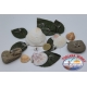 Bass Pro Shops® Flashy Times® Spoon - 1-6 oz.