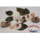Bass Pro Shops® Flashy Times® Spoon - 1-6 oz.