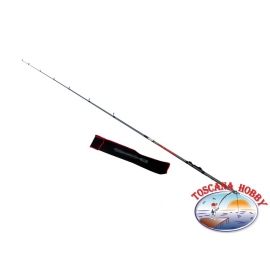 Canna pesca DIP Passport Misura 2,00m 60gr CA.43