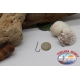 1 Bo Bo 50 piezas, ami Mustad, cod. 3275, No. 3, Abardeen Hooks, FC.B135C