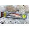Cebo artificial Rapala Magnum F-11 20gr BMAG