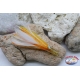 Esche da traina testina kalice octopus piuma brill 10 cm Simil-