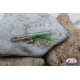 Appât artisanal en silicone avec filaments et plumes de 7 cm Crochet 1/0 vert