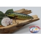 Artificial Minno Lucc Pike 11cm - 21gr Floating Col. patted FC.V433
