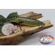 Brochet artificiel Minno Lucc 11cm - 21gr Col flottant patté FC.V433