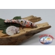 Künstliche Kurbel Viper 7,5 cm-17,5 gr Schwimm col. Harlekin FC.V439
