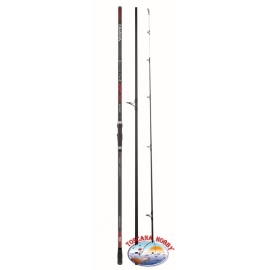 Fishing rods Surfcasting Dai Nin79