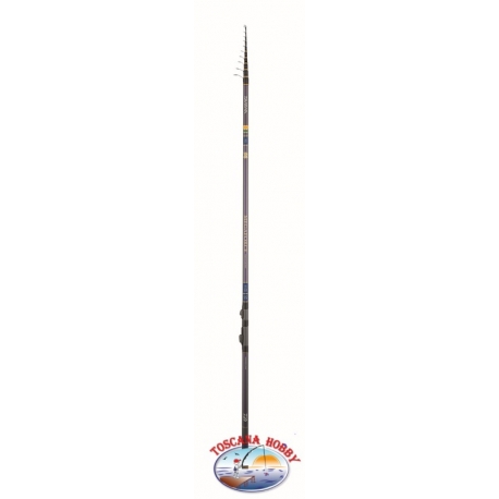 Angelrute Dai Nevara Megaforce Lake Trout Super Slim 4,60 mt