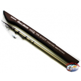 Angelrute Shimano Lake Trout Beast Master TR 6 GT 1