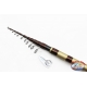 Fishing Rod Shimano Lake Trout Beast Master TR 6 GT 2