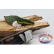 Künstliche Popper Viper 8cm-17gr Schwimm col. green FC.V449