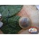 1 Packung mit 10st angelhaken Mustad cod. 496 sz.3/0 mit schaufel FC.A229