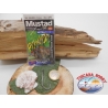 1 Confezione 10pz ami Mustad cod.34043BLN sz.3/0 con occhiello FC.A259