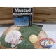 1 Pack 10 pcs Mustad Spade barbed, with the headstock cod10655NPBLN sz.14 FC.A286
