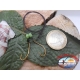 1 sachet de 2 ami Yo-zuri câble(35cm)+attractif de la morue.C875 sz.13 FC.A289