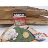 1 beutel mit 10 stk. angelhaken Mustad cod.60332NBR sz.10 FC.A328