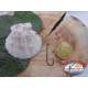 25 ami sfusi con occhiello, VMC, cod.9283BZ sz.8 FC.A444