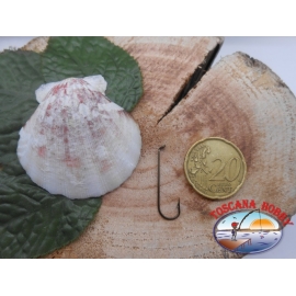 25 ami sfusi con occhiello, VMC, cod.9283BZ sz.8 FC.A444