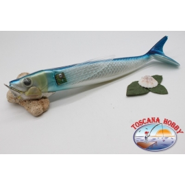 Fling fish, Z O-ZURI, 39 cm-750 gr about BR.66