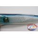 Fling fish, Z O-ZURI, 39 cm-750 gr approx. FC. BR66