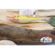 GAMBERO TOTANARE SQUID JIG, Yo-zuri, size:M, col. orange-1