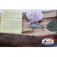 FLYING FISH, YO-ZURI, 39 cm-750 grams approx. FC.BR66