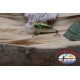 Esche artificiali LURES UGLY DUCKLING 2cm-1gr floating