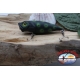 Popperino Minnow Viper, 6cm-8gr, floating, green leopard, spinning. FC.V459A