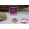 1 caja 50pcs anzuelos Mustad-cod.505 n.15 Limerick FC.B14L