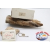 10 box 10pcs Mustad, cod. 7754, no.10/0 FC.E8A