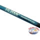 Canna da Pesca Bolognese 6,00 mt