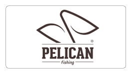 Pelican